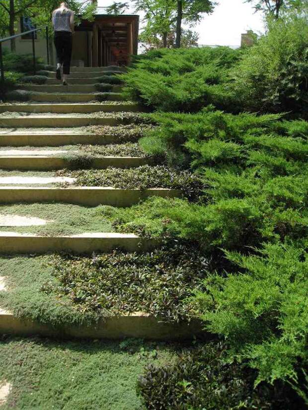 идея садовой лестницы своими руками из бетона мох