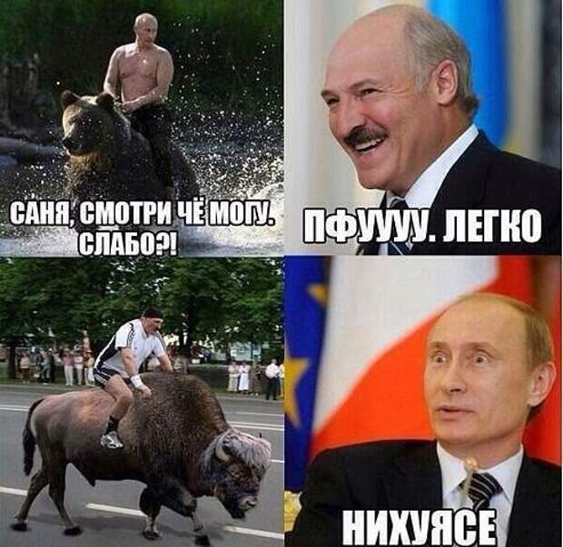 Смешные картинки с надписями
