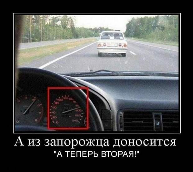 Веселые и прикольные демотиваторы для позитива (10 фото) Веселые и прикольные демотиваторы для позитива (10 фото)