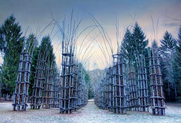 Храм из живых деревьев в Италии. Фото