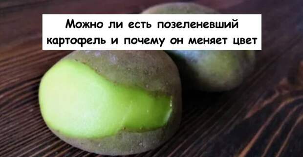 Можно ли есть позеленевший картофель и почему он меняет цвет