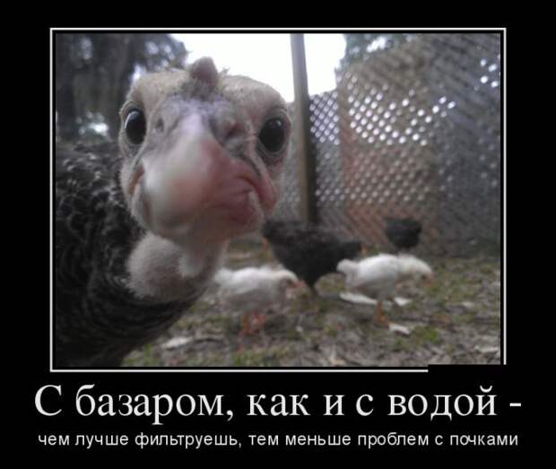 Демотиваторы (30 фото)