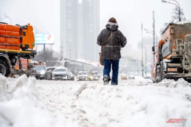 Синоптик Леус: в России 1 февраля пройдут снегопады из-за циклона «Кристин»