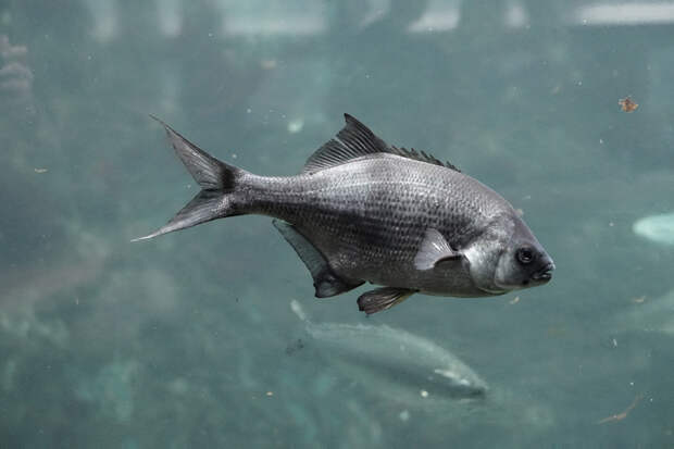 Seattle Washington Part 1-8.jpg