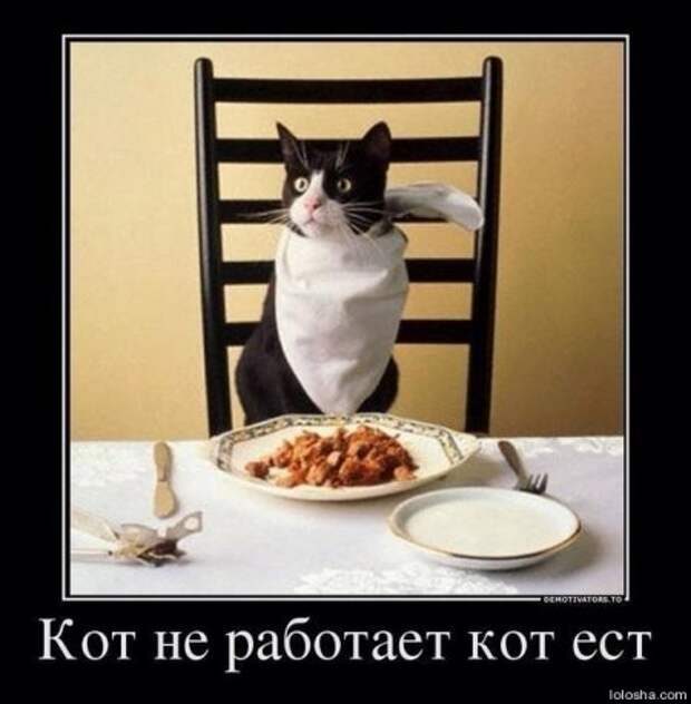 Демотиваторы! Ура! Отрывайся!