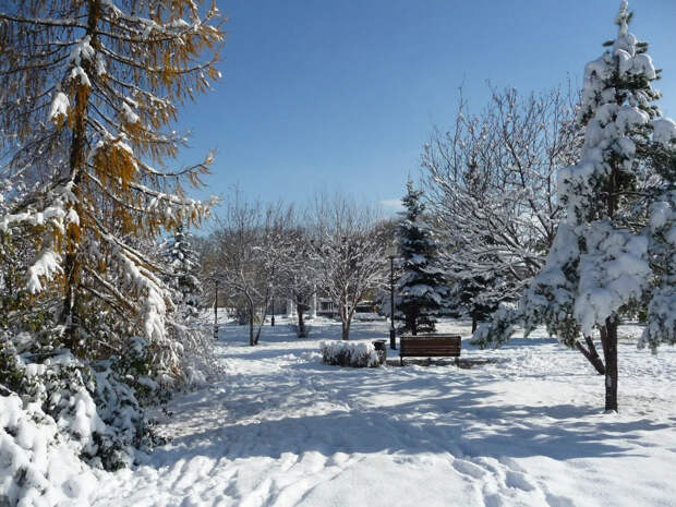 День Филимона 27 декабря: как по погоде предсказывали февраль и будущий урожай