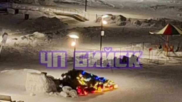 В парке Бийска ветер повалил новогоднюю елку