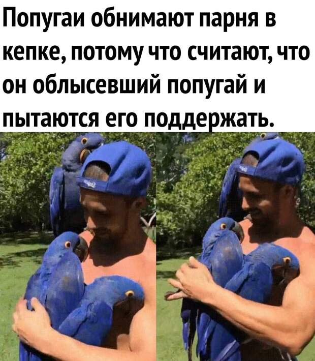 Юмор из интернета 598