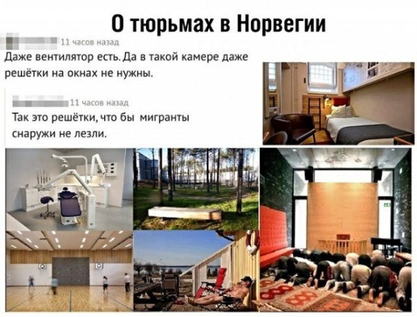 Картинки с надписями, истории и анекдоты