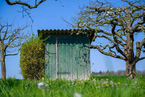 Дачникам объяснили, как не лишиться туалета по решению суда