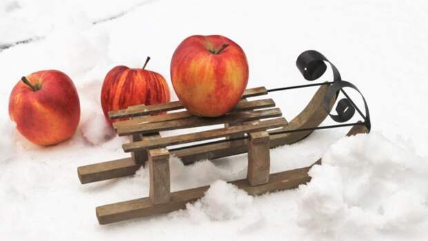 Народные приметы. Почему 3 апреля нельзя стирать белье и поливать цветы