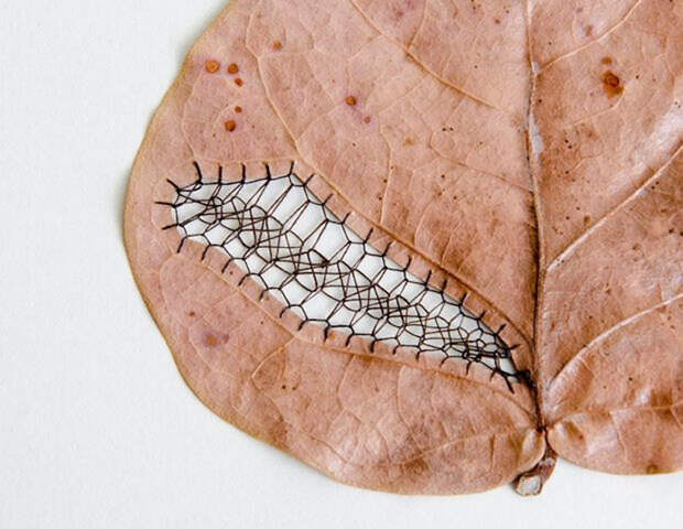 Уникальная вышивка на листьях: 