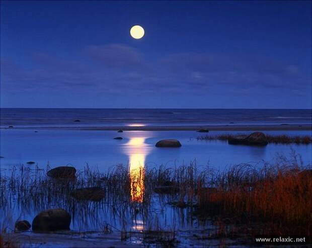 Andris_Eglitis_029 Andris_Eglitis_029