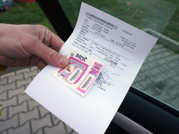 Путешествие в Будапешт с собакой на Citroen C4