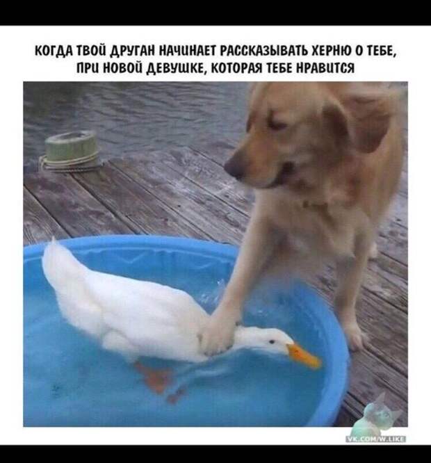 всякостей тут