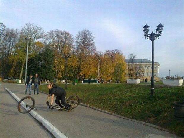 Прикольные картинки