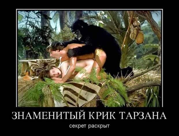 Картинки по запросу ржачные и жесткие демотиваторы для девушек