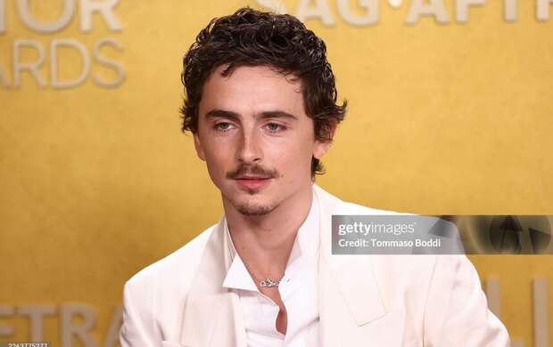 Актёр Тимоти Шаламе высмеял оперу и балет: как отреагировали в России