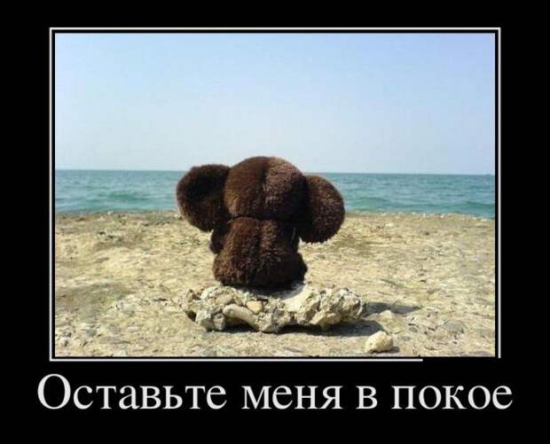 Дополнительные демотиваторы для веселья (10 фото)