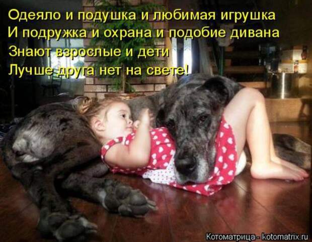 Котоматрицы(картинки с надписями)