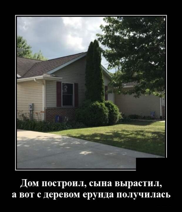 Демотиваторы (30 фото)