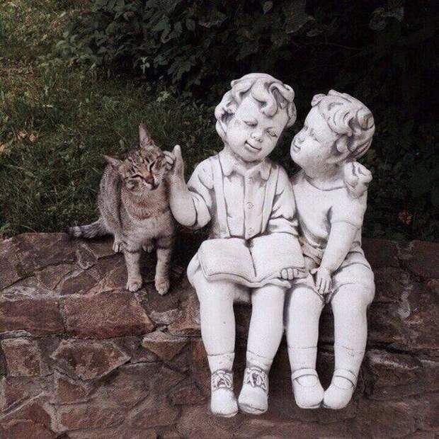 Не грустные картинки веселые картинки, фотографии, юмор