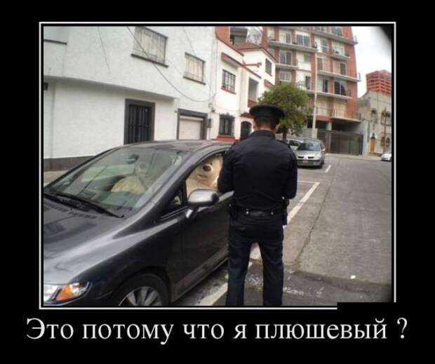 Прикольные демотиваторы для поднятия настроения (11 фото)