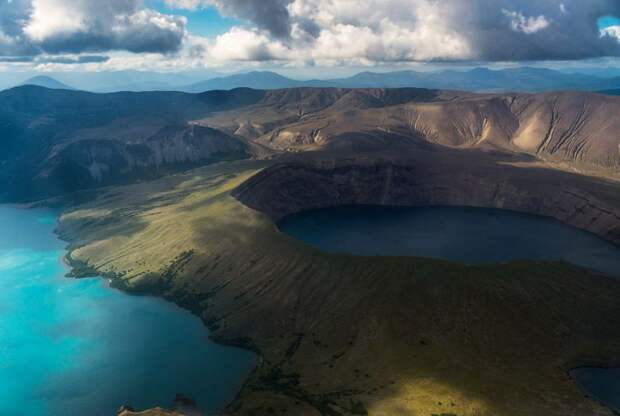 Камчатка камчатка, медведи, фото, россия