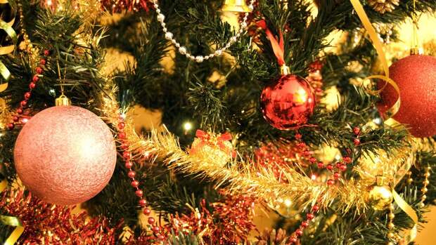 Празднику быть. В Казахстане полиция необычно наказала нерадивого водителя