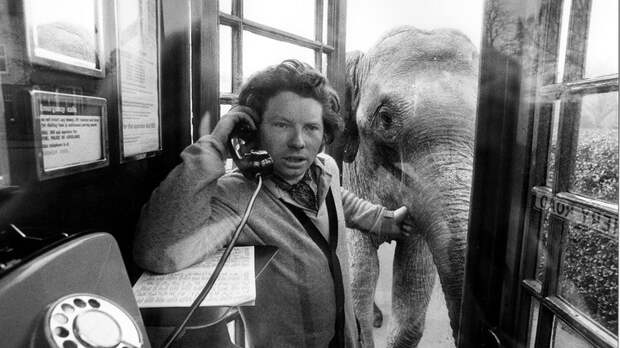 "Вирус мутировал из-за вышек 5G". Кому выгодны фейки пятого поколения