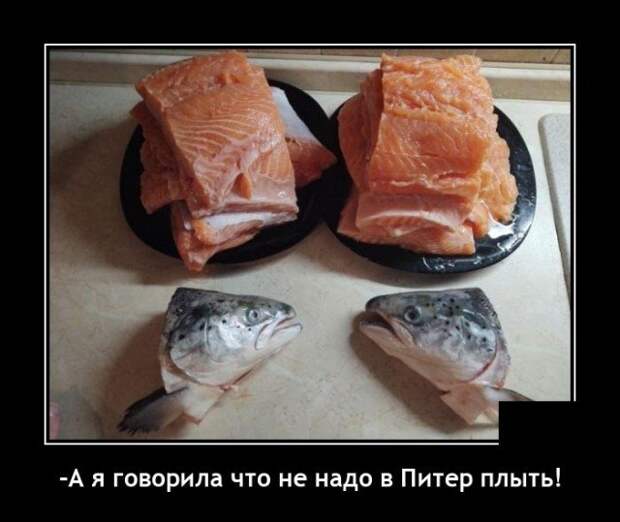Демотиватор про Питер
