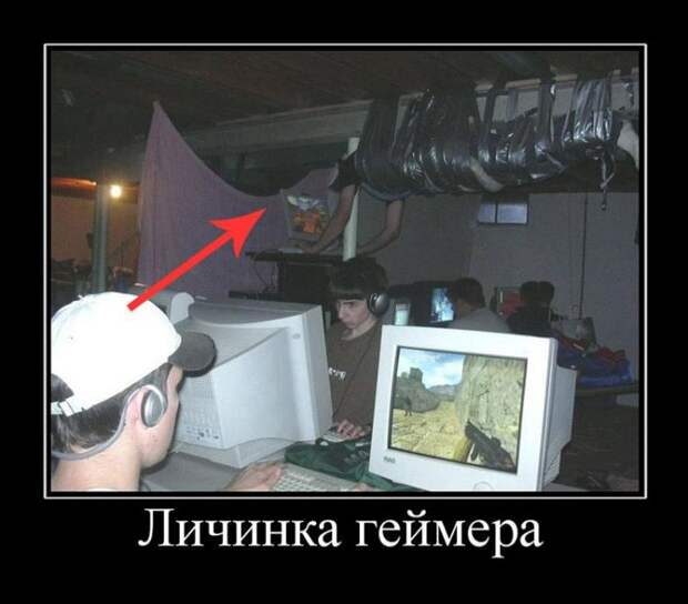 Демотиваторы (30 фото)