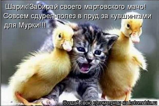 Мысли вслух :)