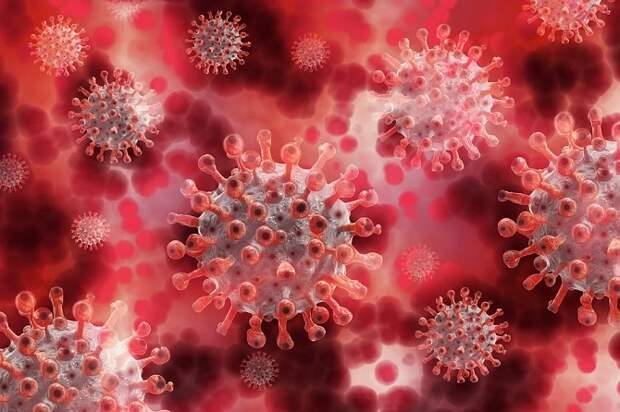 Иммунитет у переболевших коронавирусом держится год