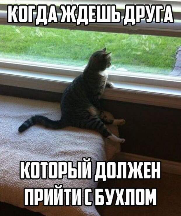1426209529_69