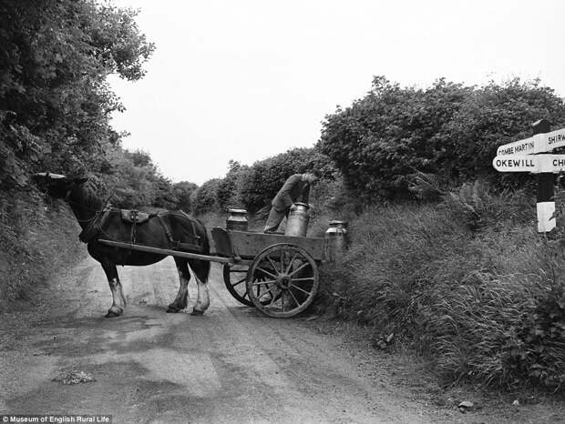 Забытые традиции британской сельской жизни в исторических фотографиях 