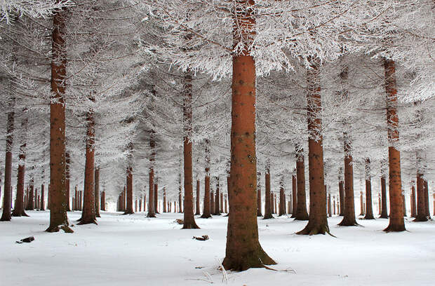 Великолепные снежные пейзажи Gorgeous Winter Landscapes 7 Великолепные снежные пейзажи