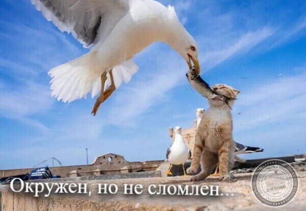 Не сломлен