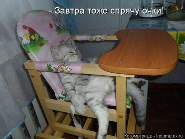 Новая котоматрица для позитива (35 фото)