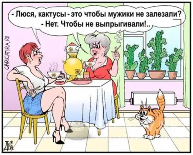 Уважаемые друзья! Часто в различных источниках можно прочесть анекдоты, от которых порой не знаешь — смеяться или плакать.