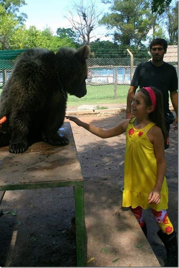 extreme-zoo_22_(funnypagenet.com)