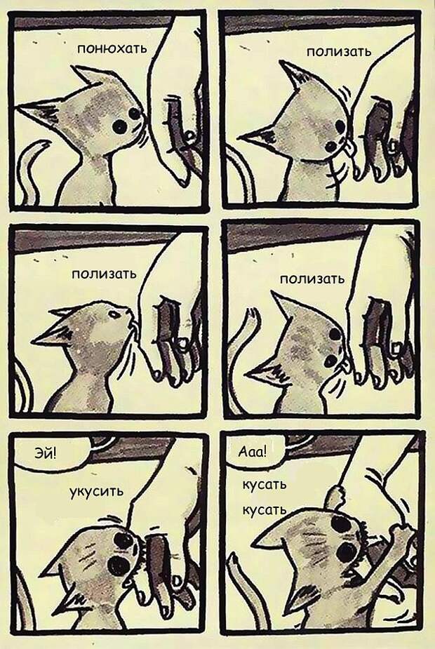 Проблемы жизни с котом в забавном комиксе (33 картинки)