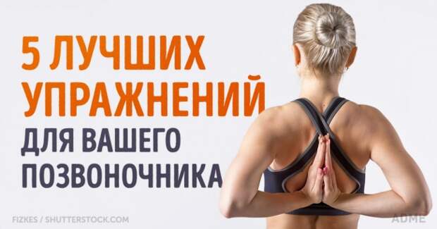 5 упражнений для позвоночника, которые можно делать даже в офисе
