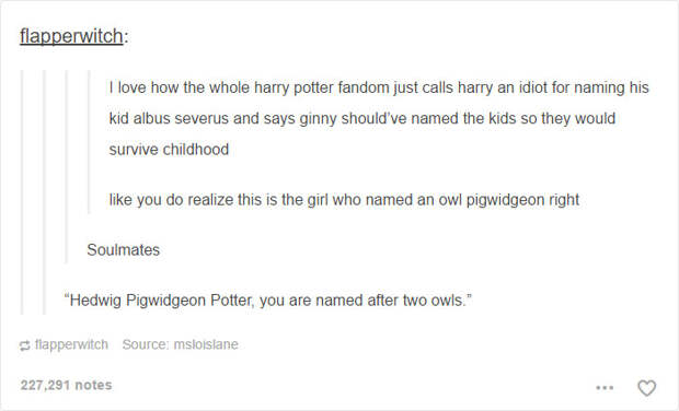 Harry Potter Tumblr