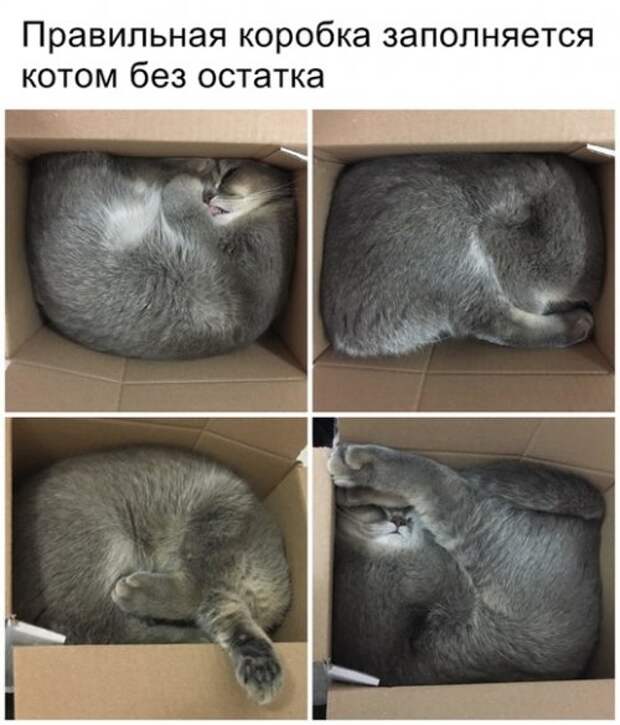 На собеседовании: Почему вы хотите работать в службе поддержки?