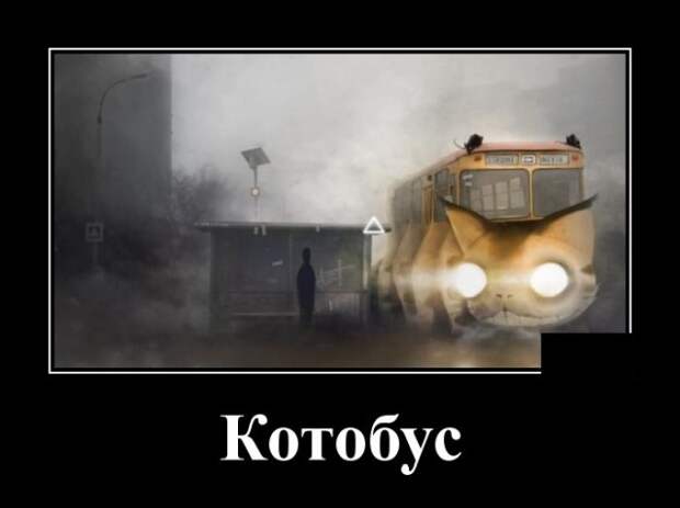 Демотиваторы (20 фото)