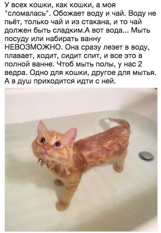 Позитивные и прикольные картинки с надписями со смыслом (11 фото)