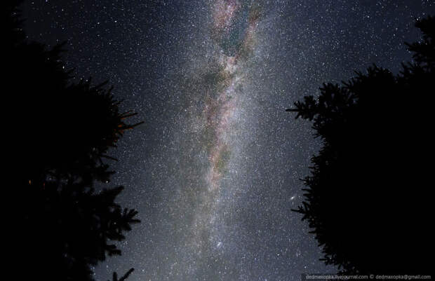 Звездные треки в предгорье Алтая Звездные треки в предгорье Алтая