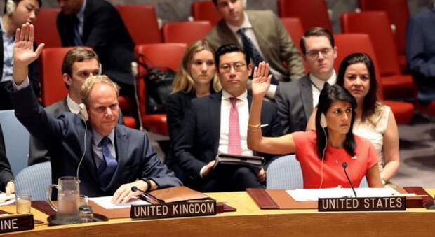 Великобритания и США в Совбезе ООН голосуют против