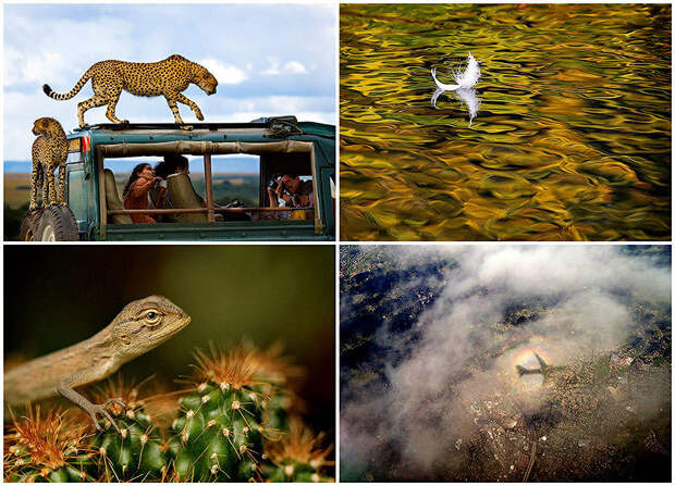 Лучшие фотографии National Geographic за сентябрь, 2013